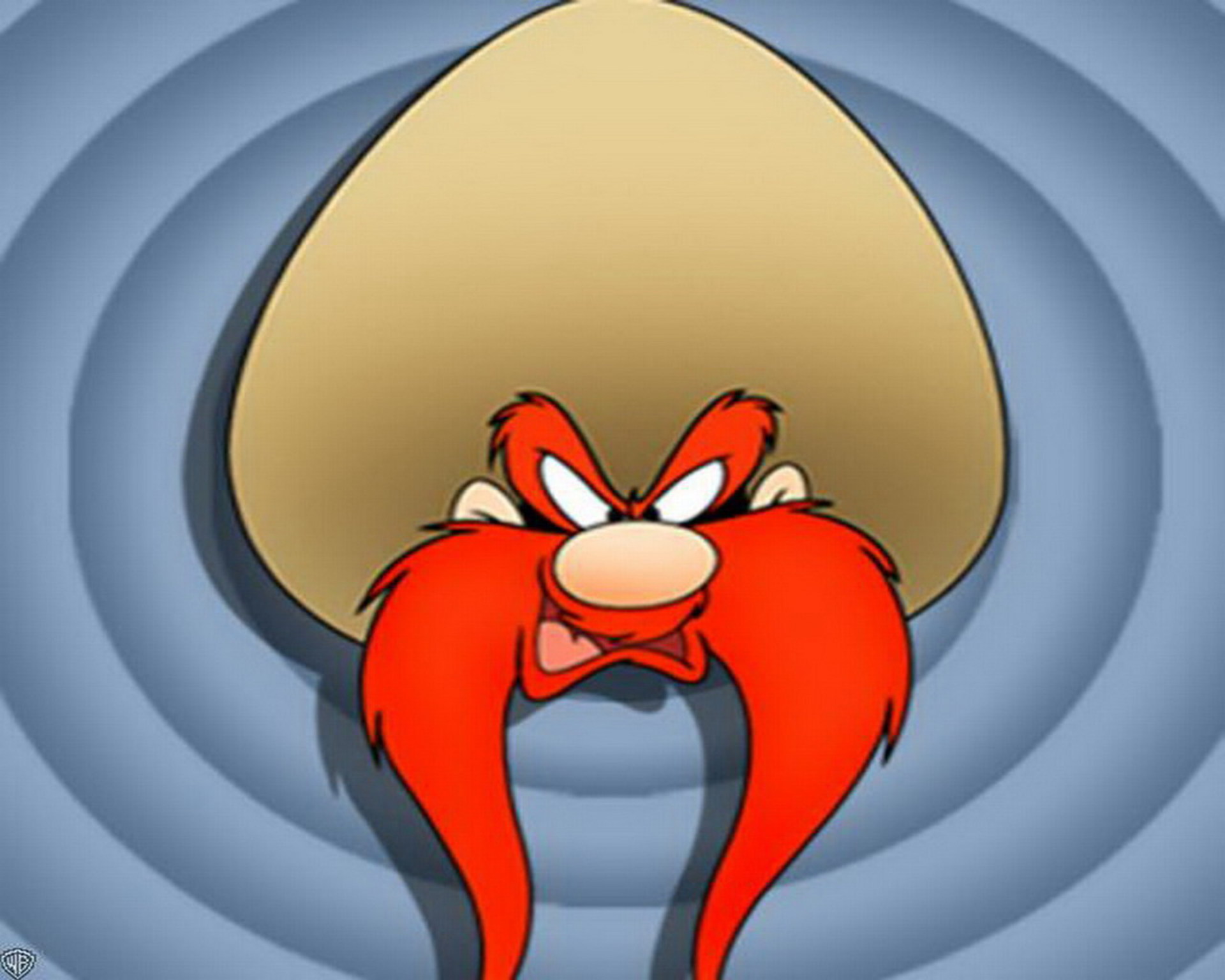 Cartoon Wallpaper: Looney Tunes Tasmanian Devil Wallpapers ...