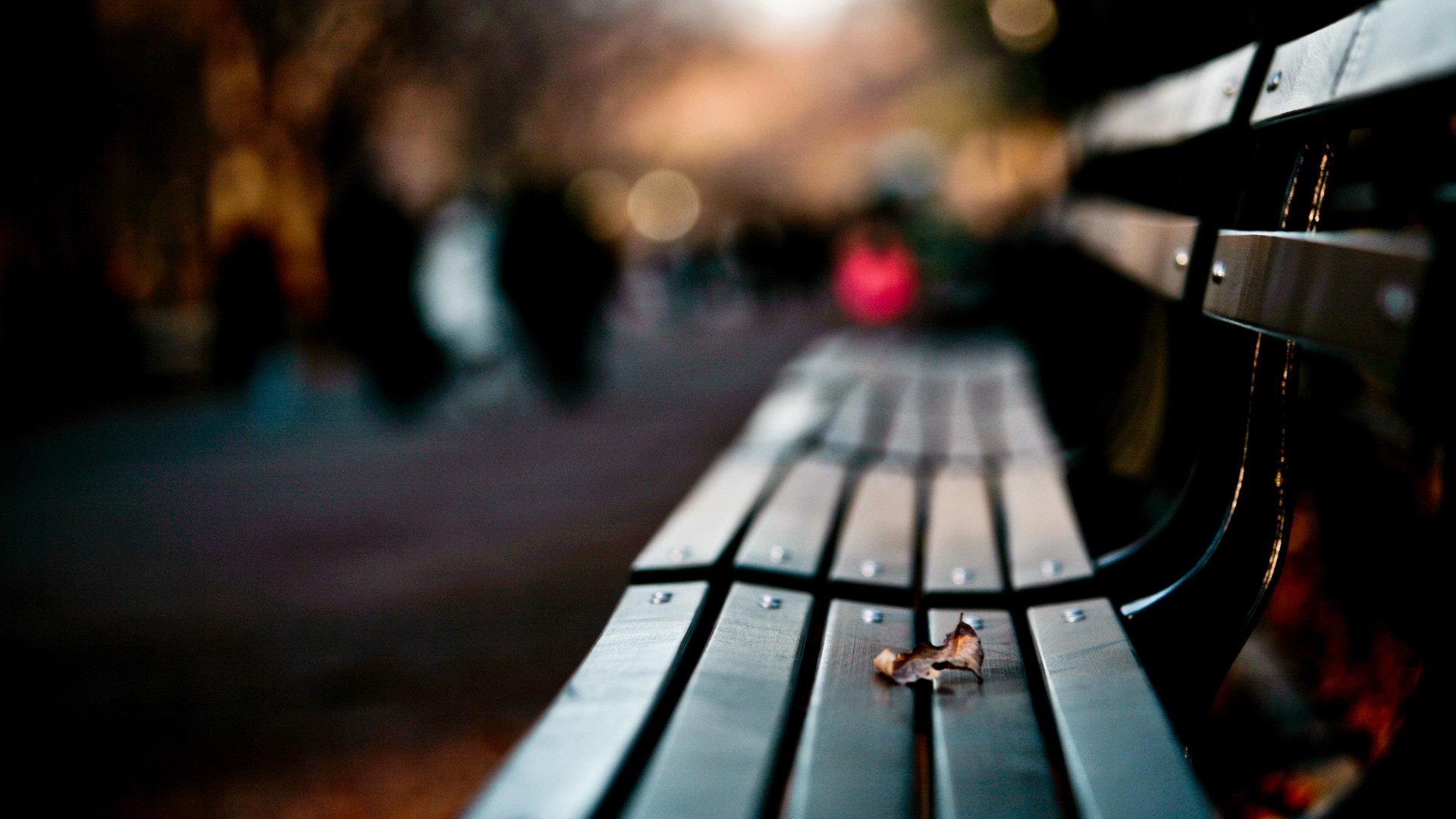 One leaf on a bench - HD blurry wallpaper