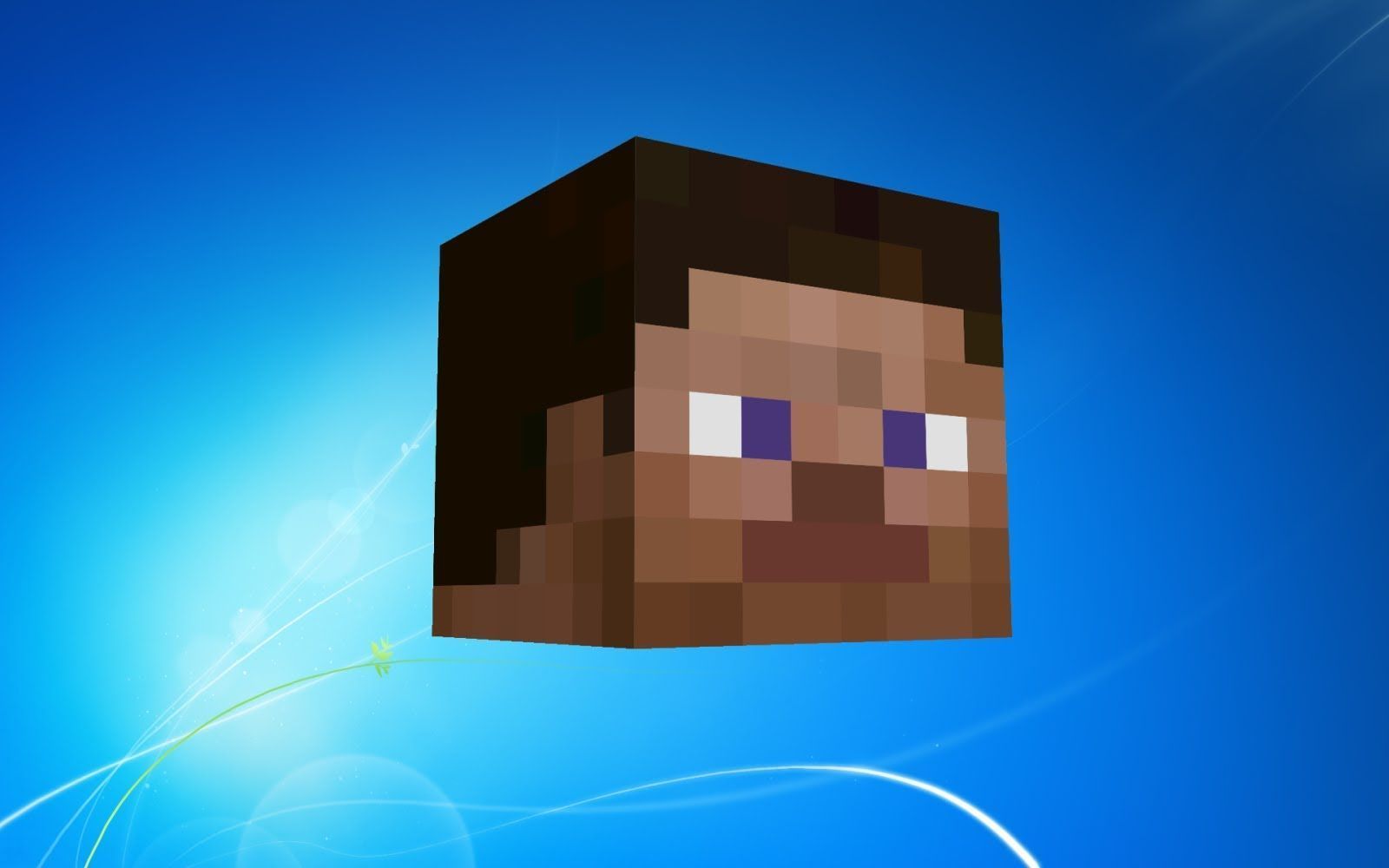 Steve_Minecraft_Wallpaper_1600x1000.jpg