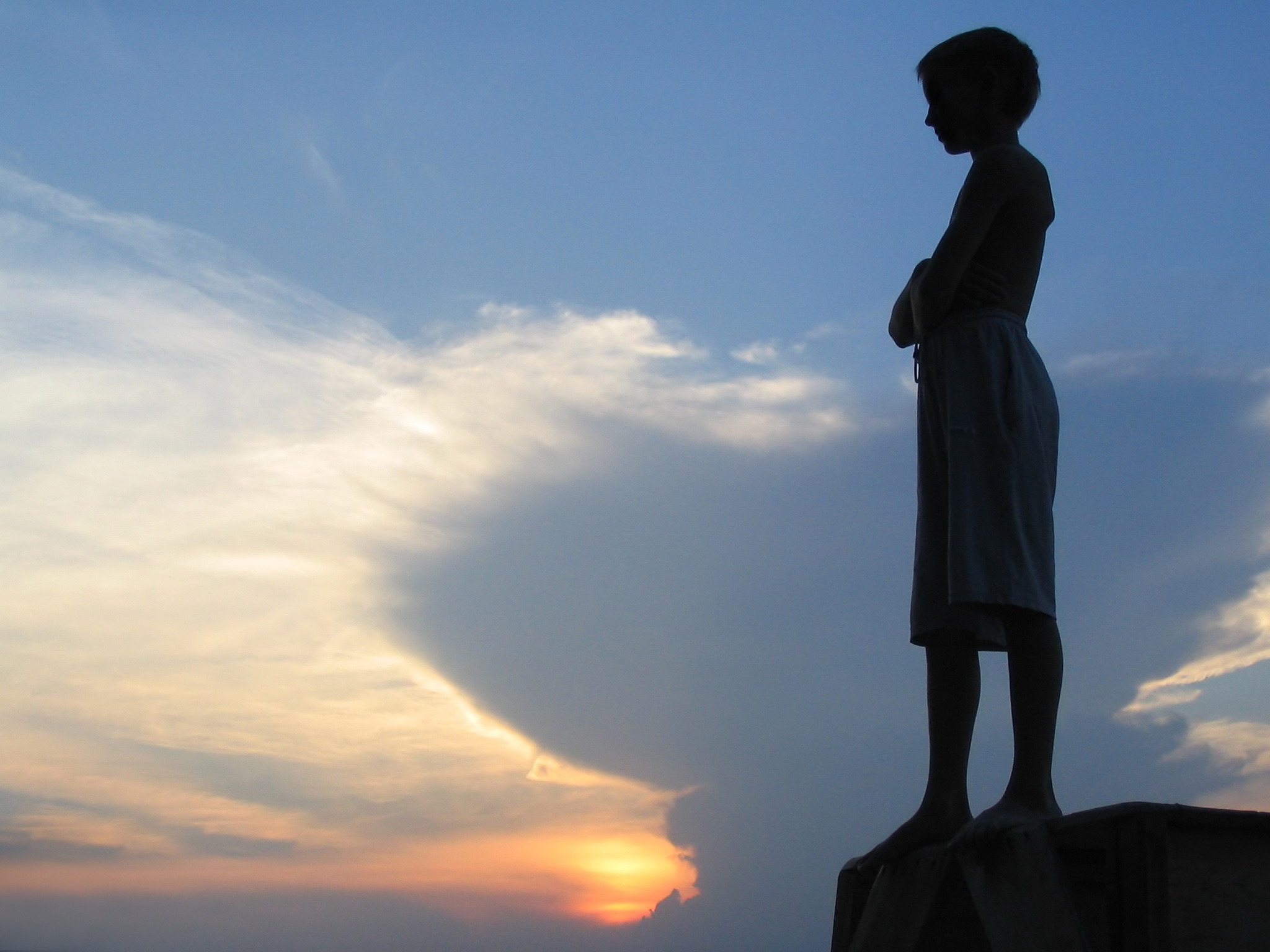 Christian Life and Public Affairs » Blog Archive » Boy Scouts of ...