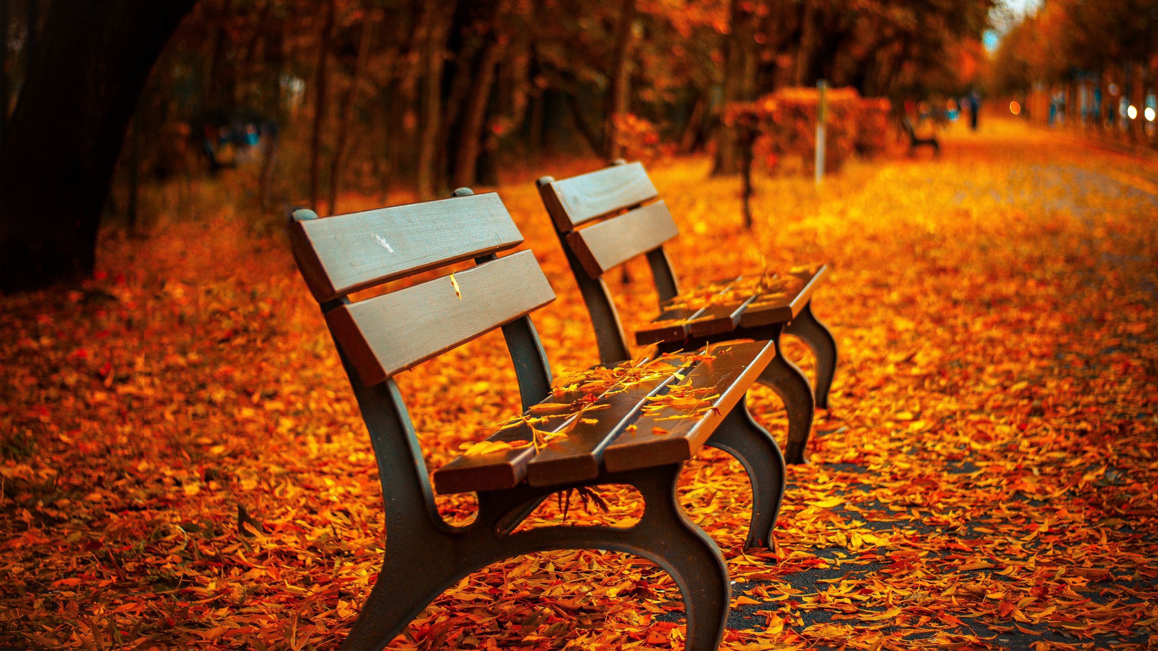 Autumn Bench Wallpapers HD Backgrounds
