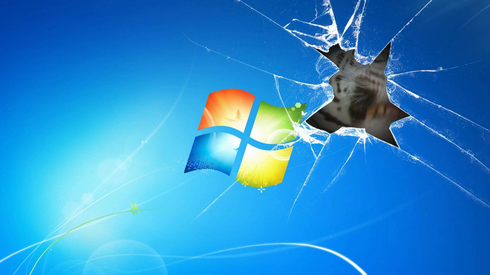Windows 7 Wallpaper Animated Tiger on broken screen - YouTube