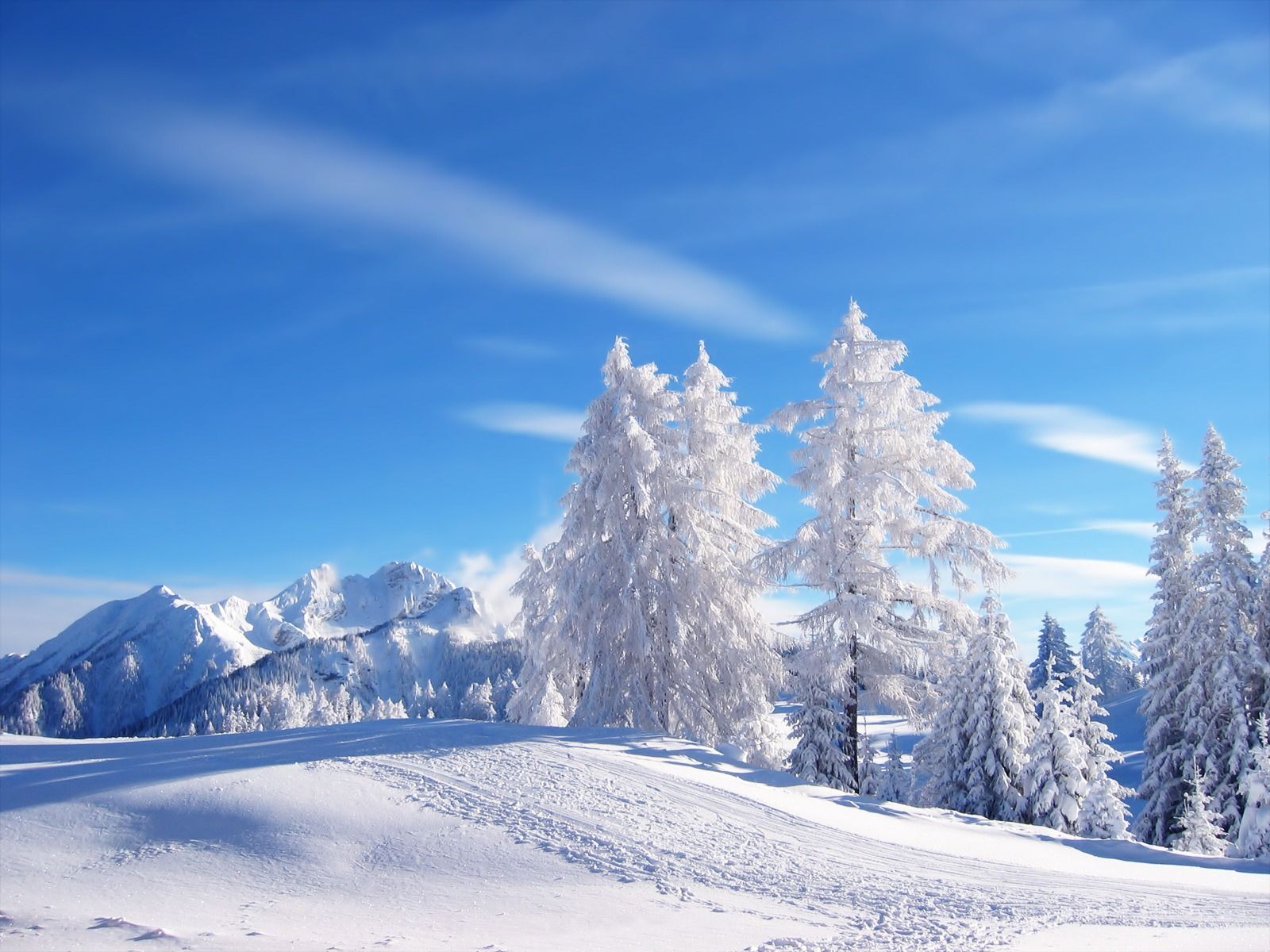 Winter Backgrounds for Desktop | Wallpapers, Backgrounds, Images ...