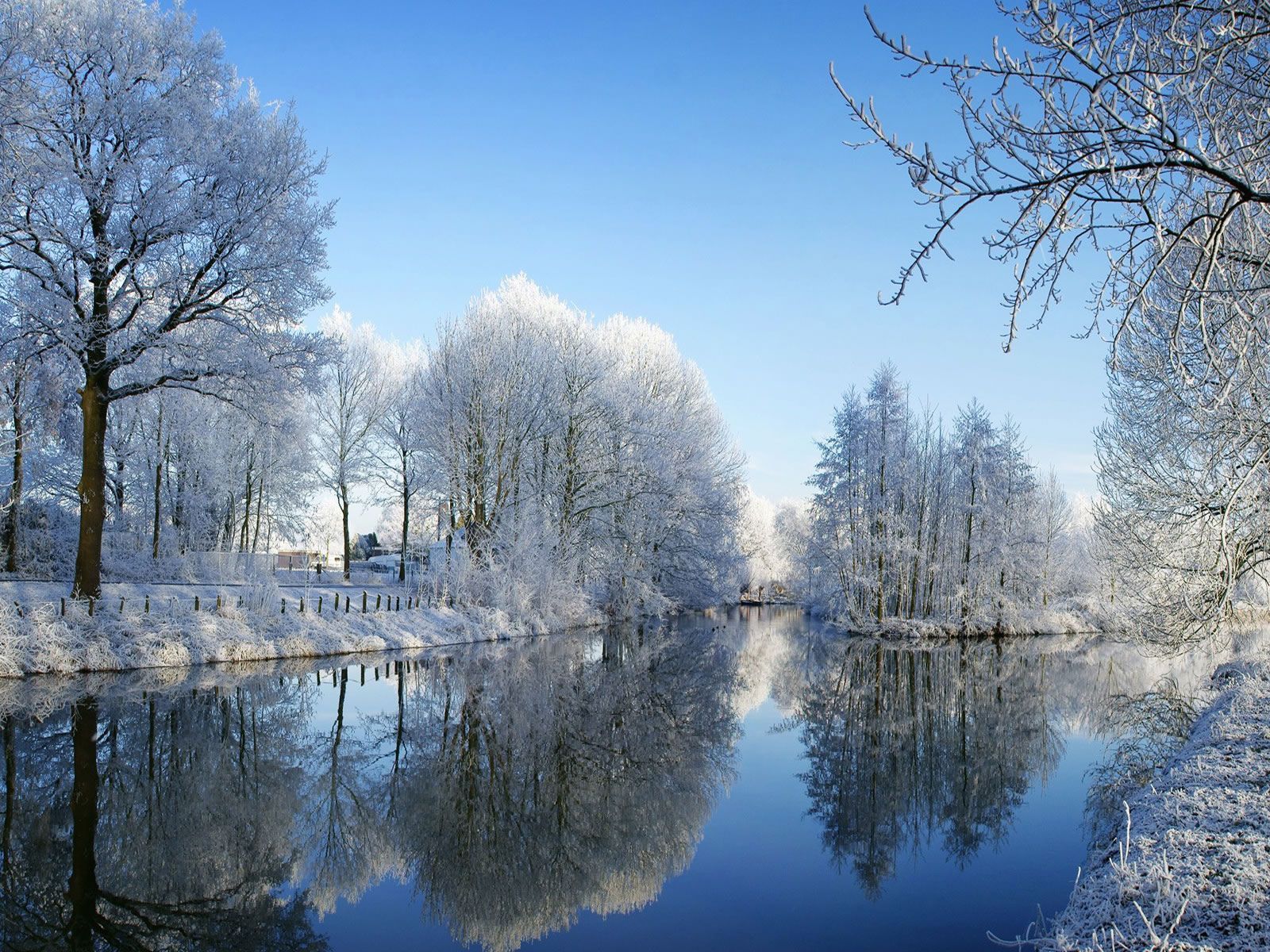 blue background winter nature wallpapers | Pin Nest