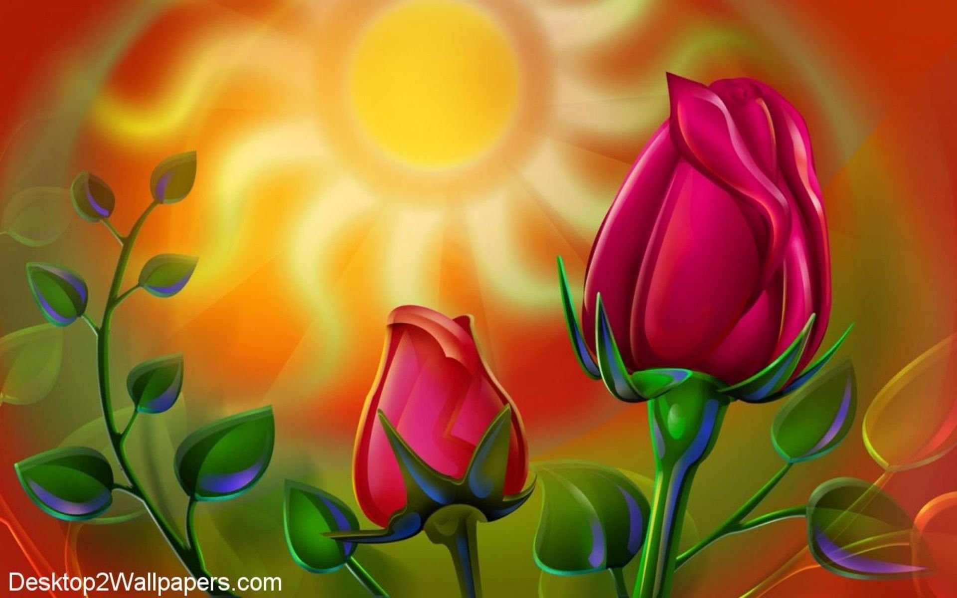 HD Rose Flower Wallpapers | HD Wallpapers Range