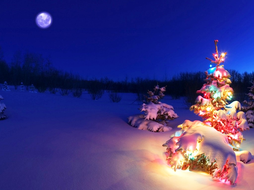 3D-Christmas-Desktop-Backgrounds-Christmas-Trees -