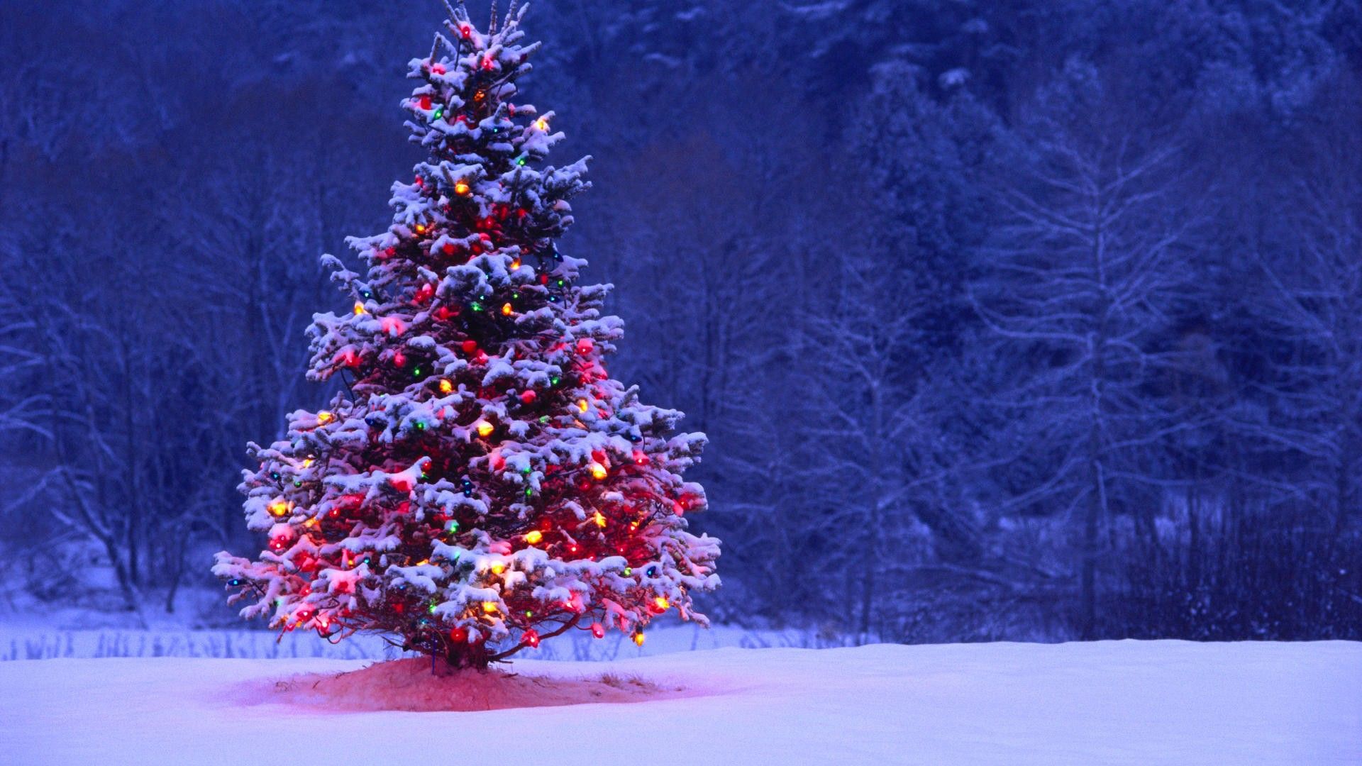 2015 Christmas Desktop Backgrounds | Free Christmas Desktop ...