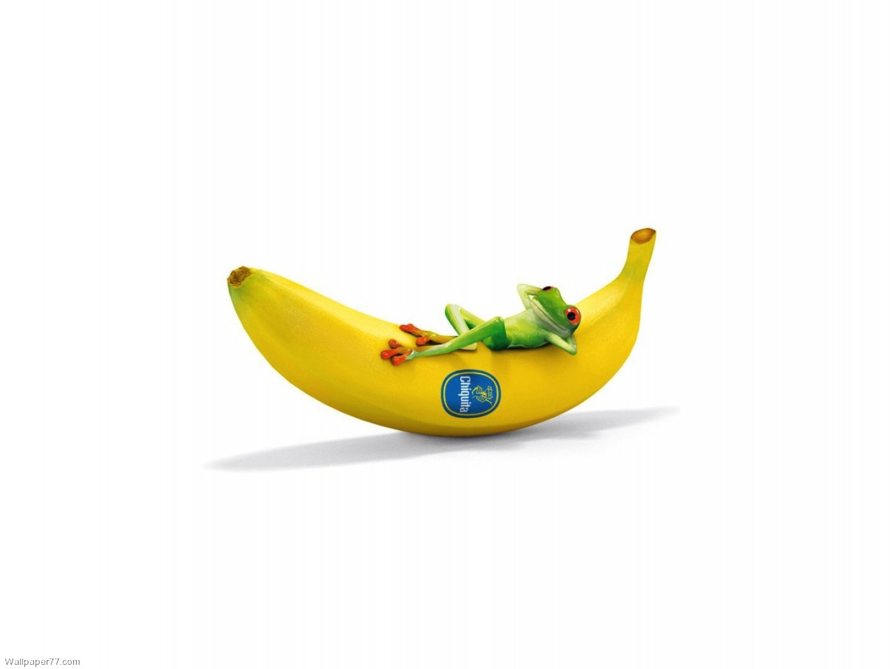 Chiquita With Frog Funny, 1280x960 pixels : Wallpapers tagged Cute ...