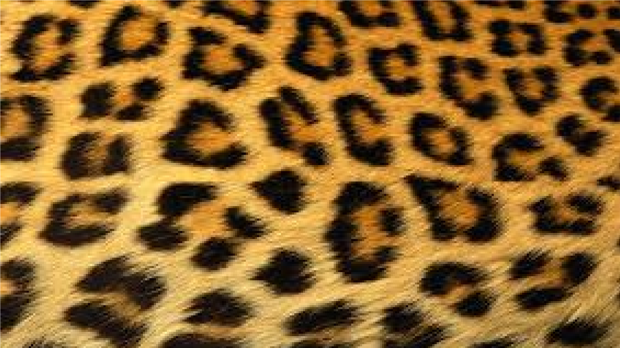Large Cheetah Fur Wallpaper - Cheetah Wallpaper 37801731 - Fanpop