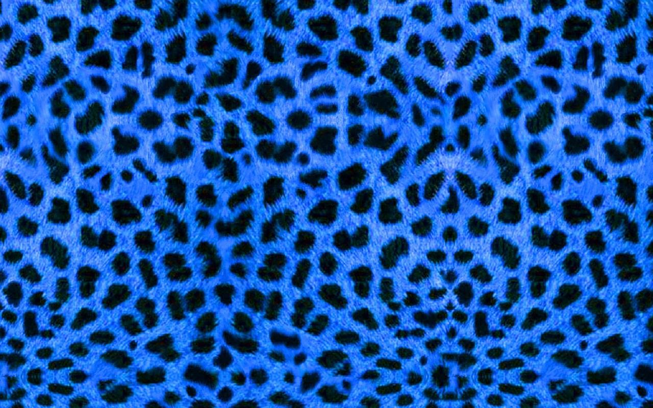 Pictures blue animal print