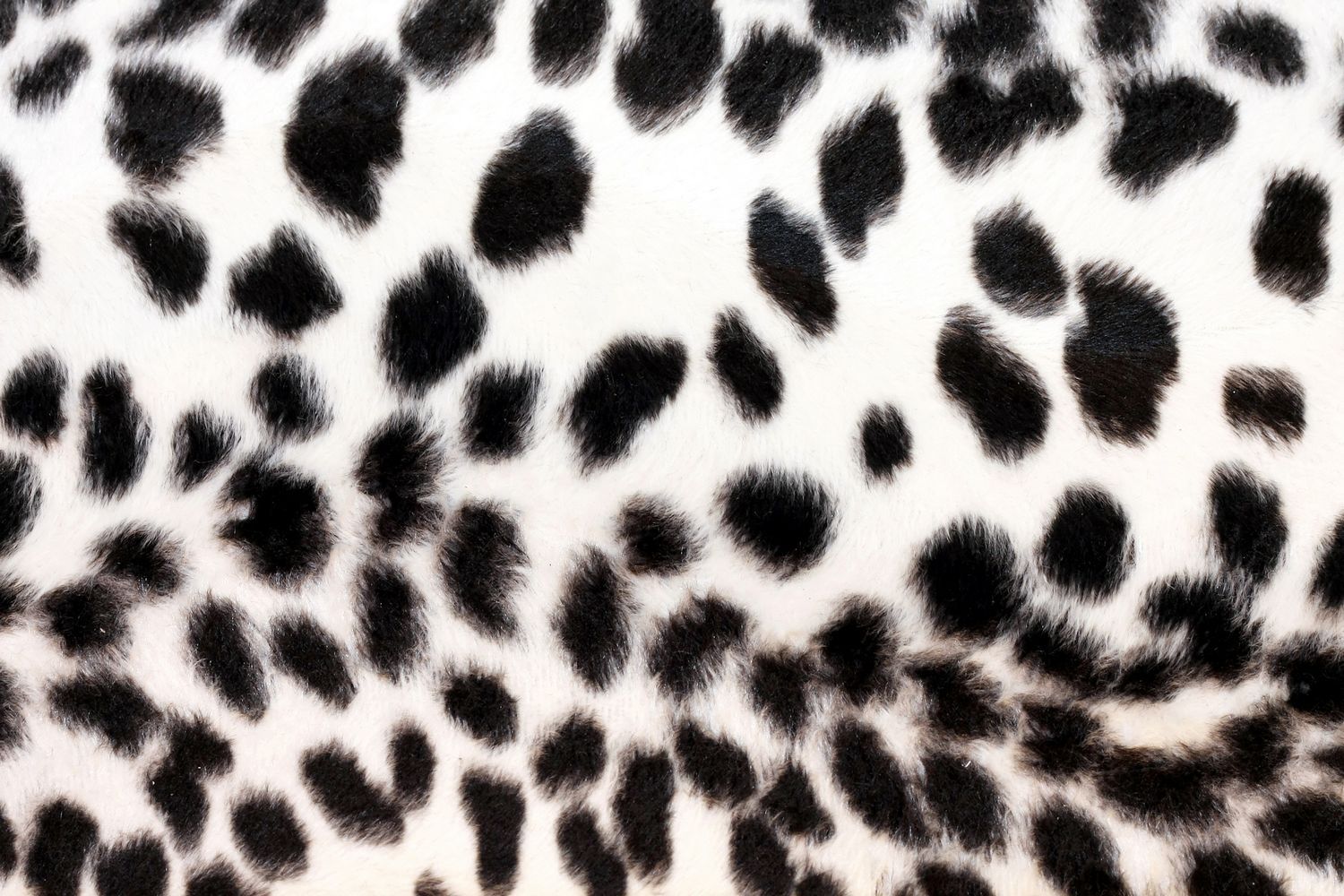 Leopard Print Phone Wallpapers - browse leopard print wallpaper ...
