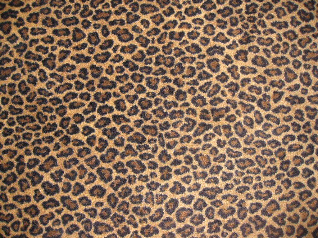 leopardo cafe | animal print | Pinterest