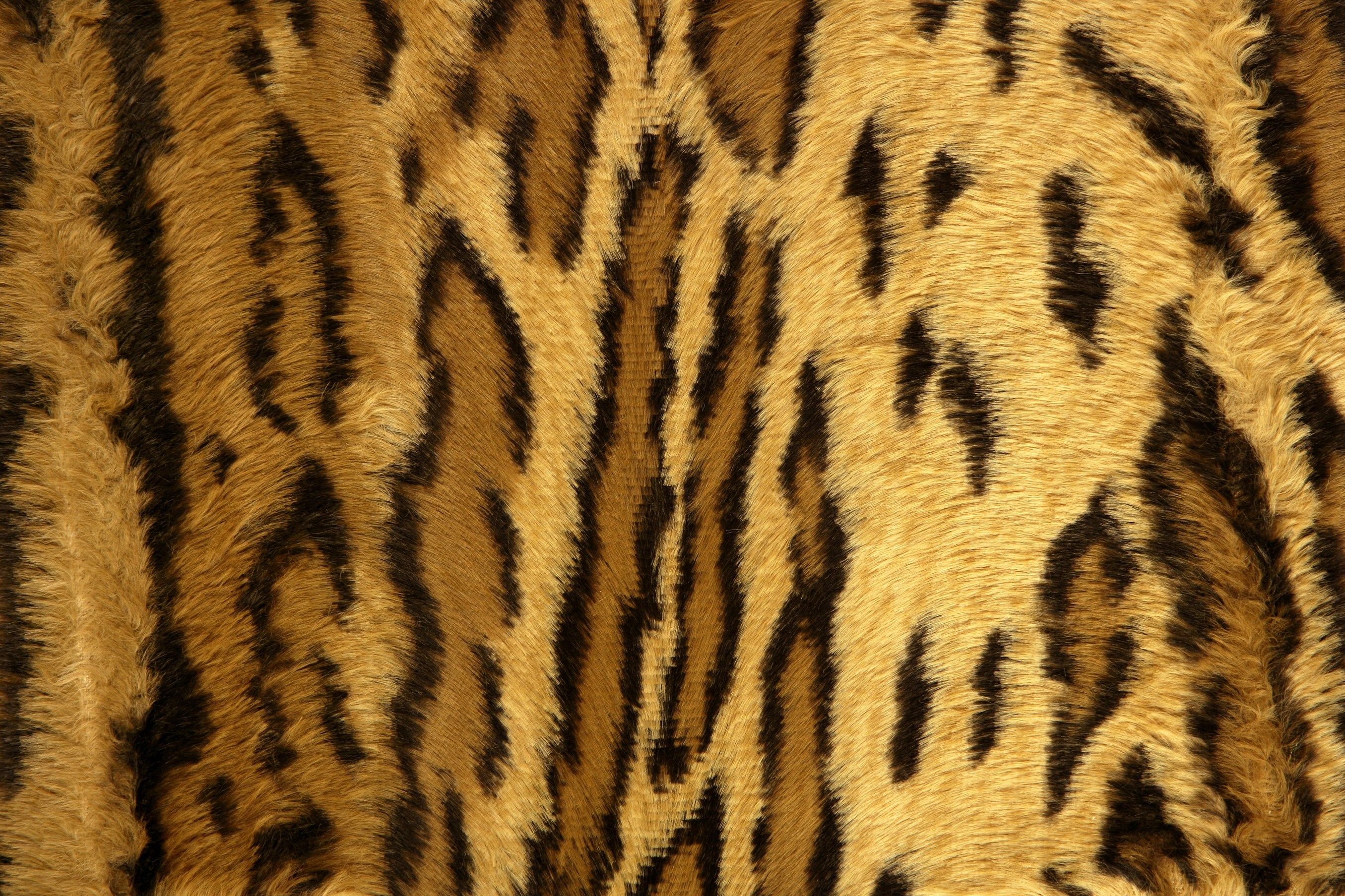 Wild lifes africa cheetah print wallpaper