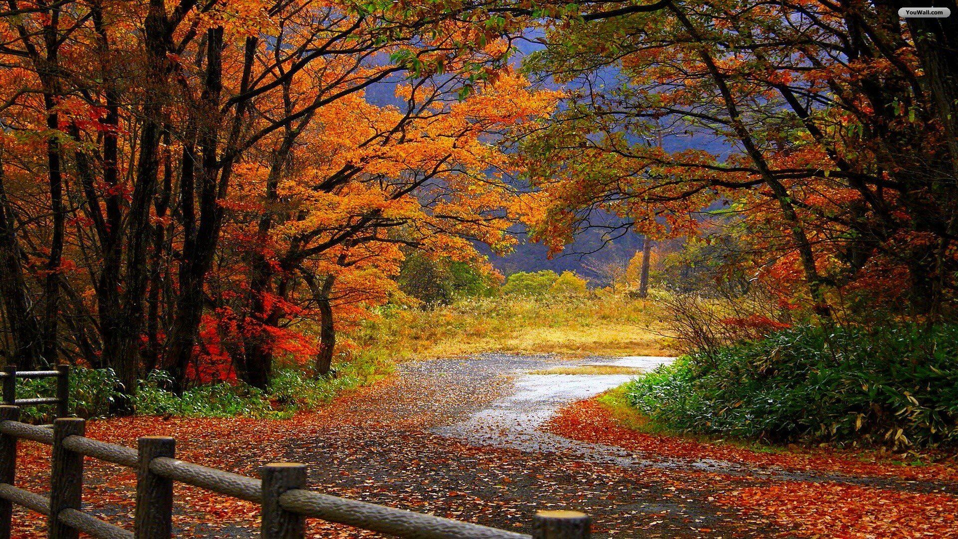 YouWall - Autumn Scenery Wallpaper - wallpaper,wallpapers,free ...