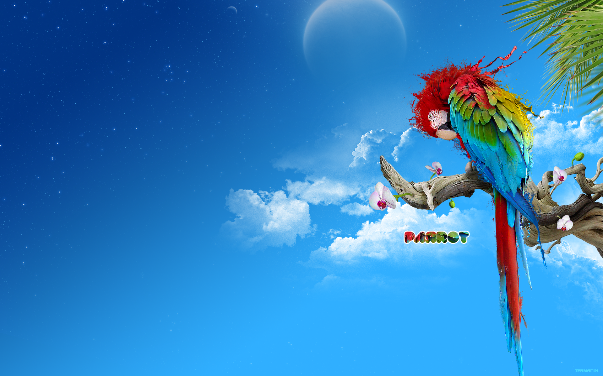 Full HD Wallpapers Animals, Birds, Clouds, Palm leafs, Parrots