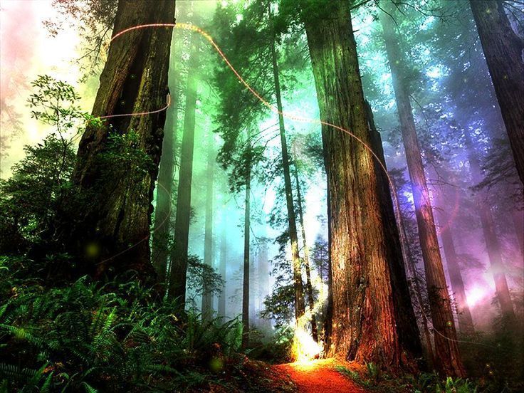 fantasy on Pinterest | Fantasy Forest, Horse Wallpaper and Wallpapers