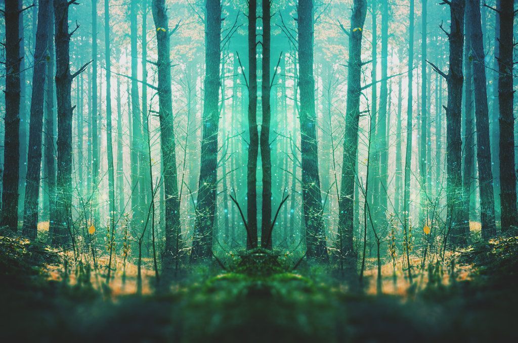Fantasy Forest Wallpaper by starnightx on DeviantArt
