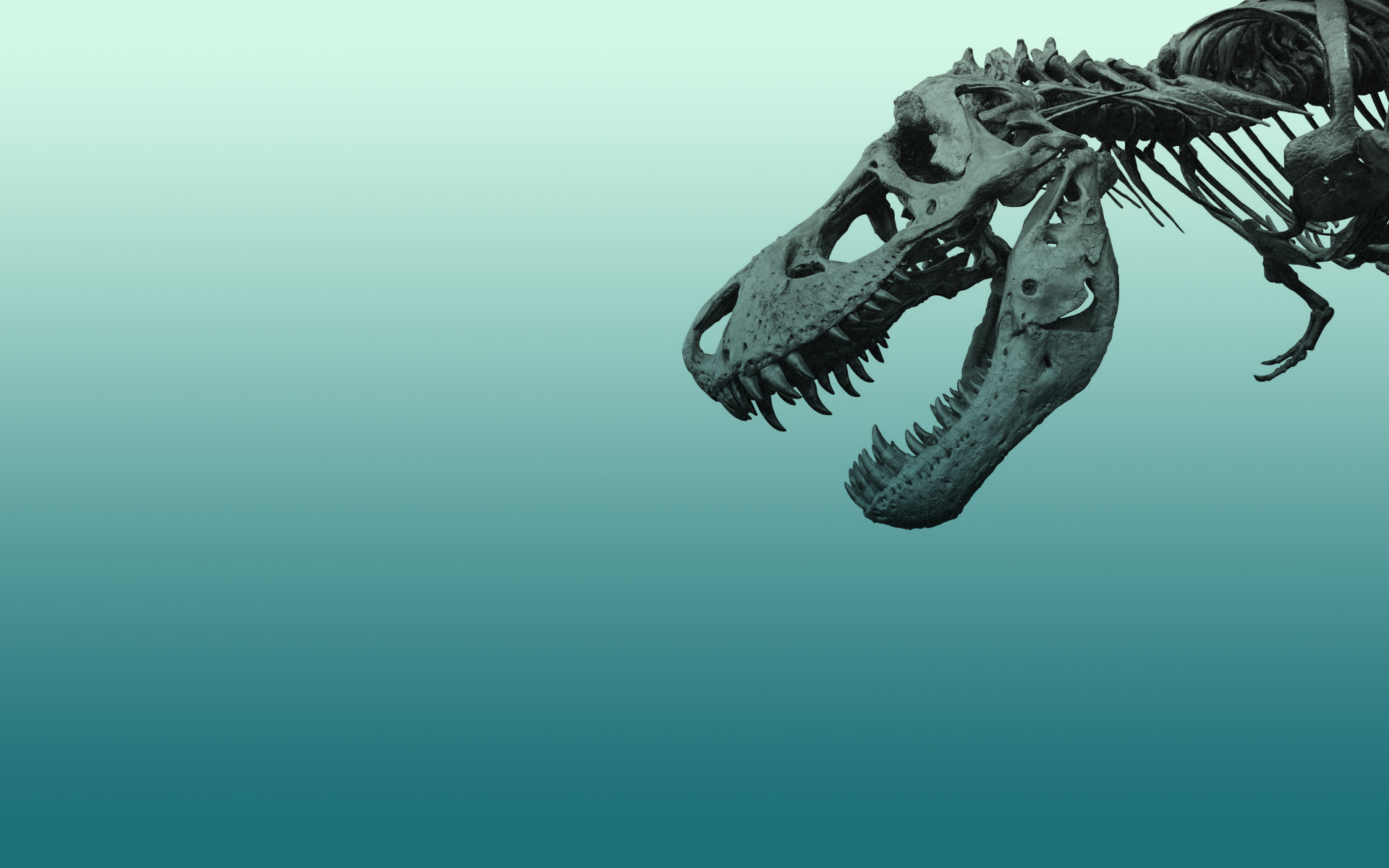 155 Dinosaur HD Wallpapers | Backgrounds - Wallpaper Abyss