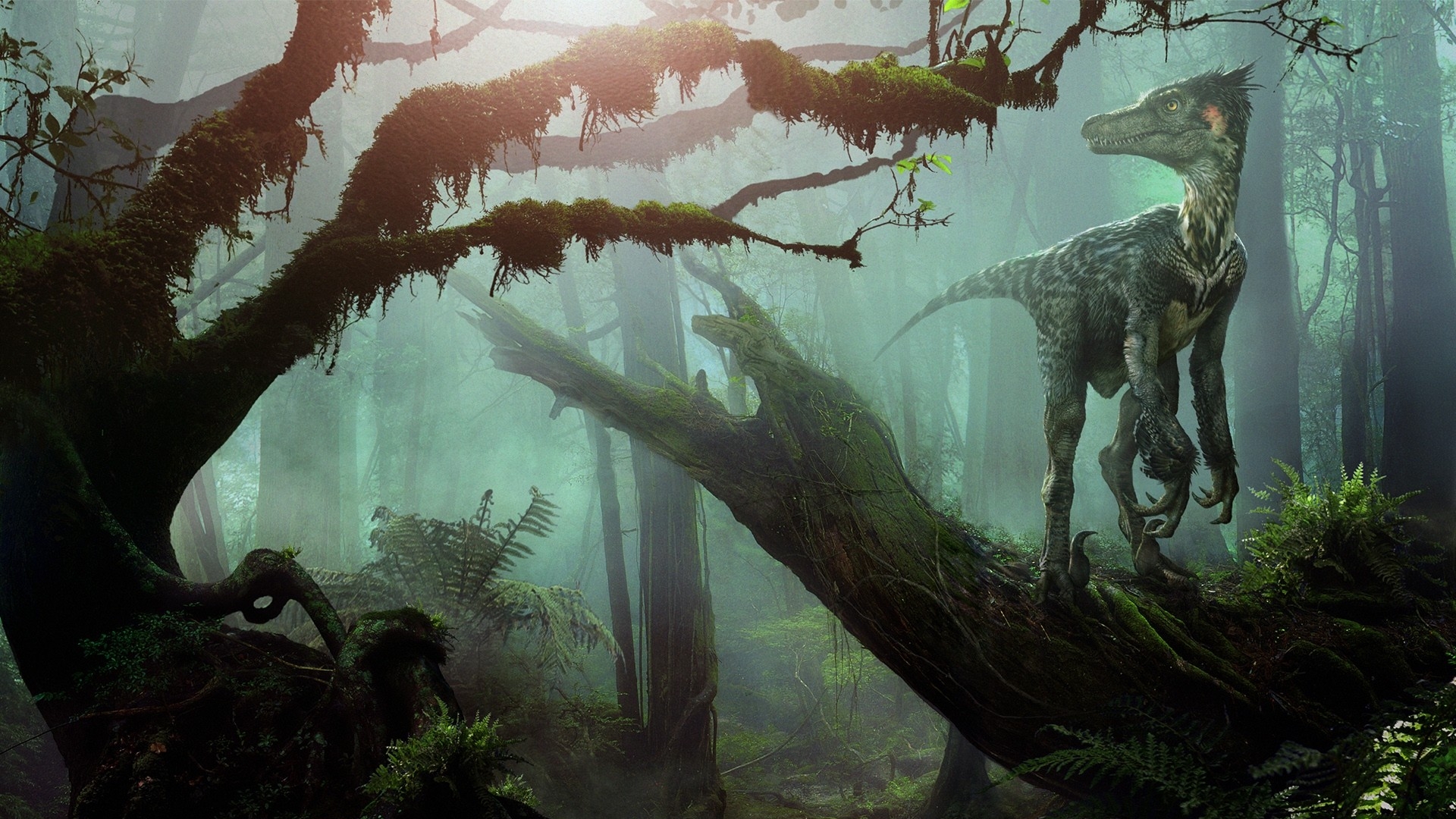 155 Dinosaur HD Wallpapers Backgrounds - Wallpaper Abyss -