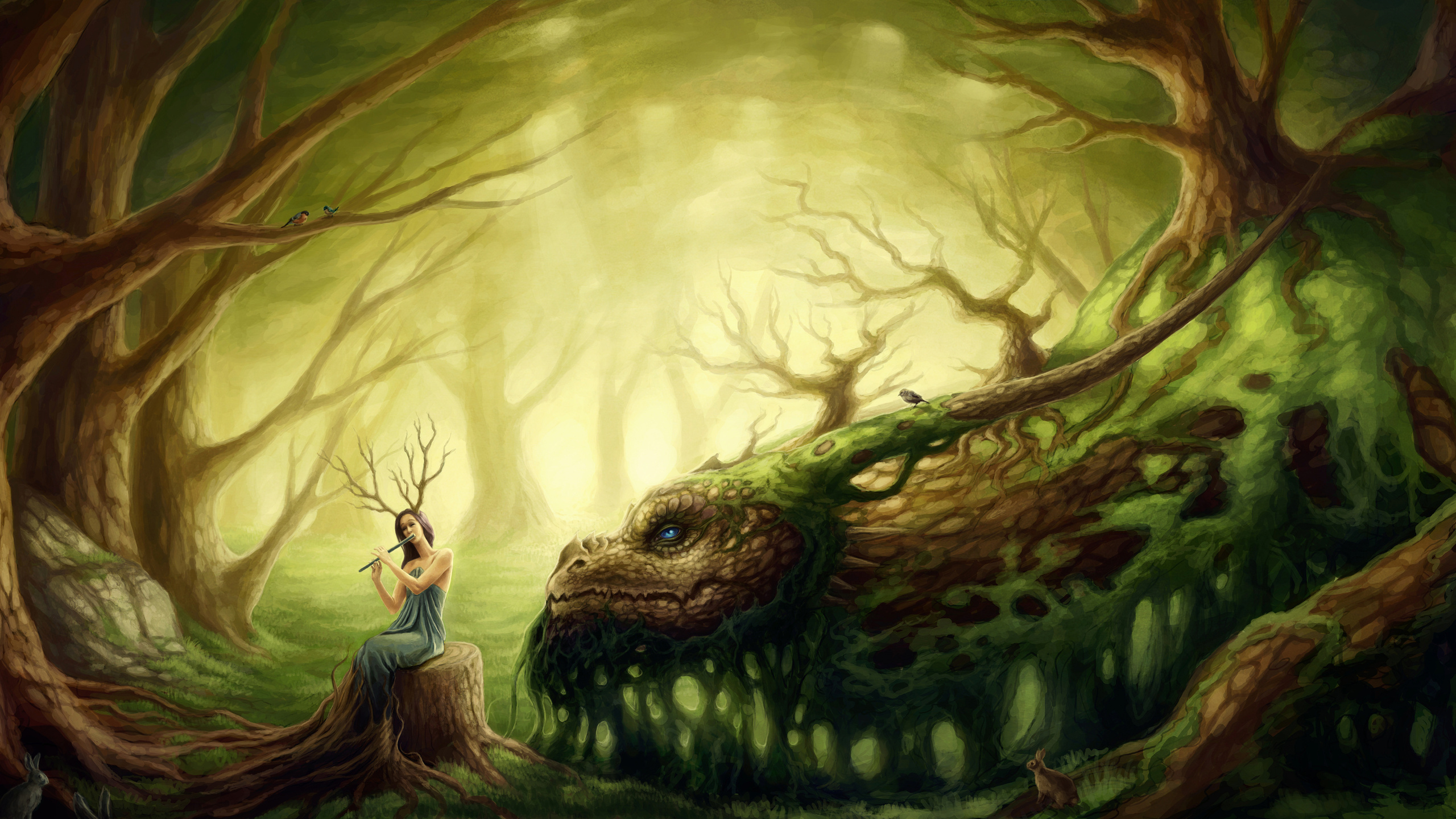 2560x1440 dragon, forest, forest, girl, druid Wallpapers and ...