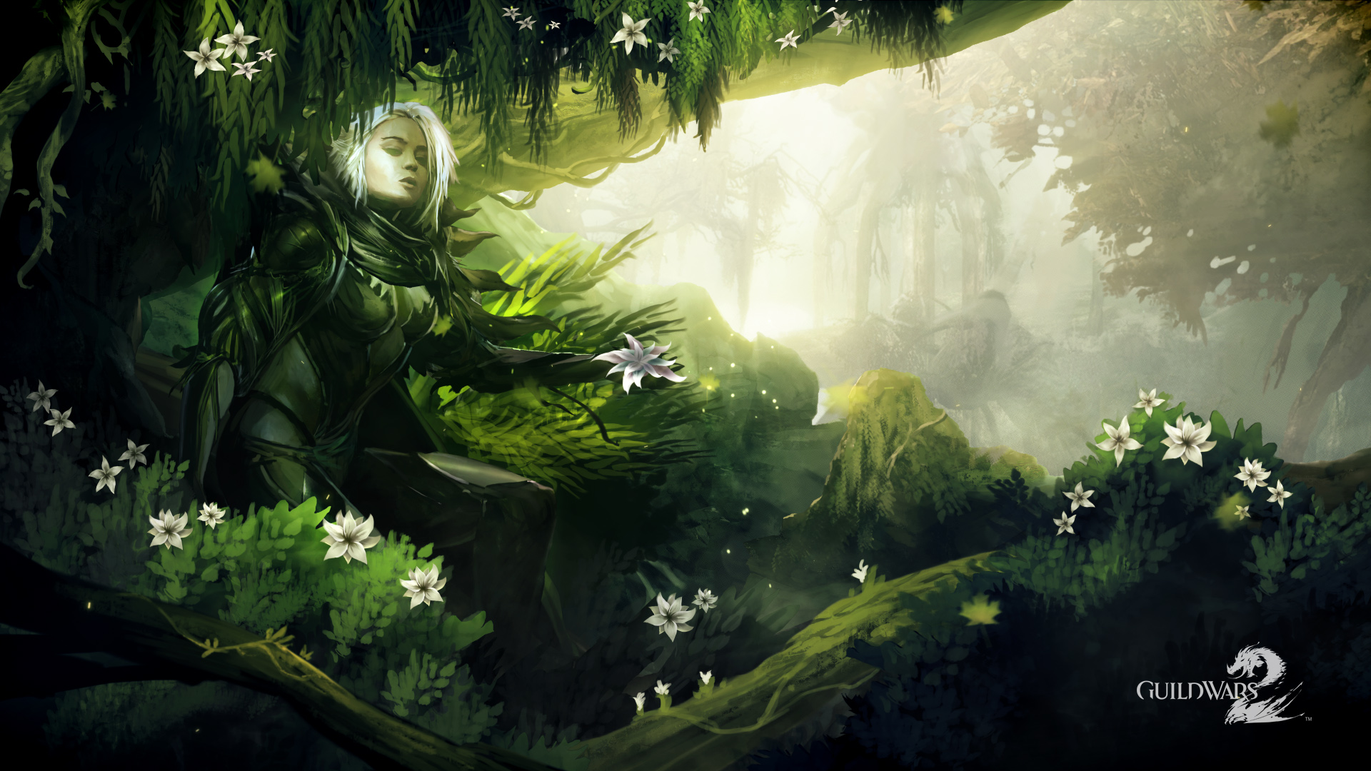 Download desktop wallpaper Art with the druid on the game Guild Wars 2