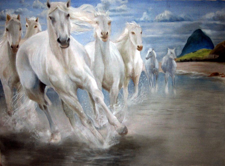IMAGE | seven white horses painting