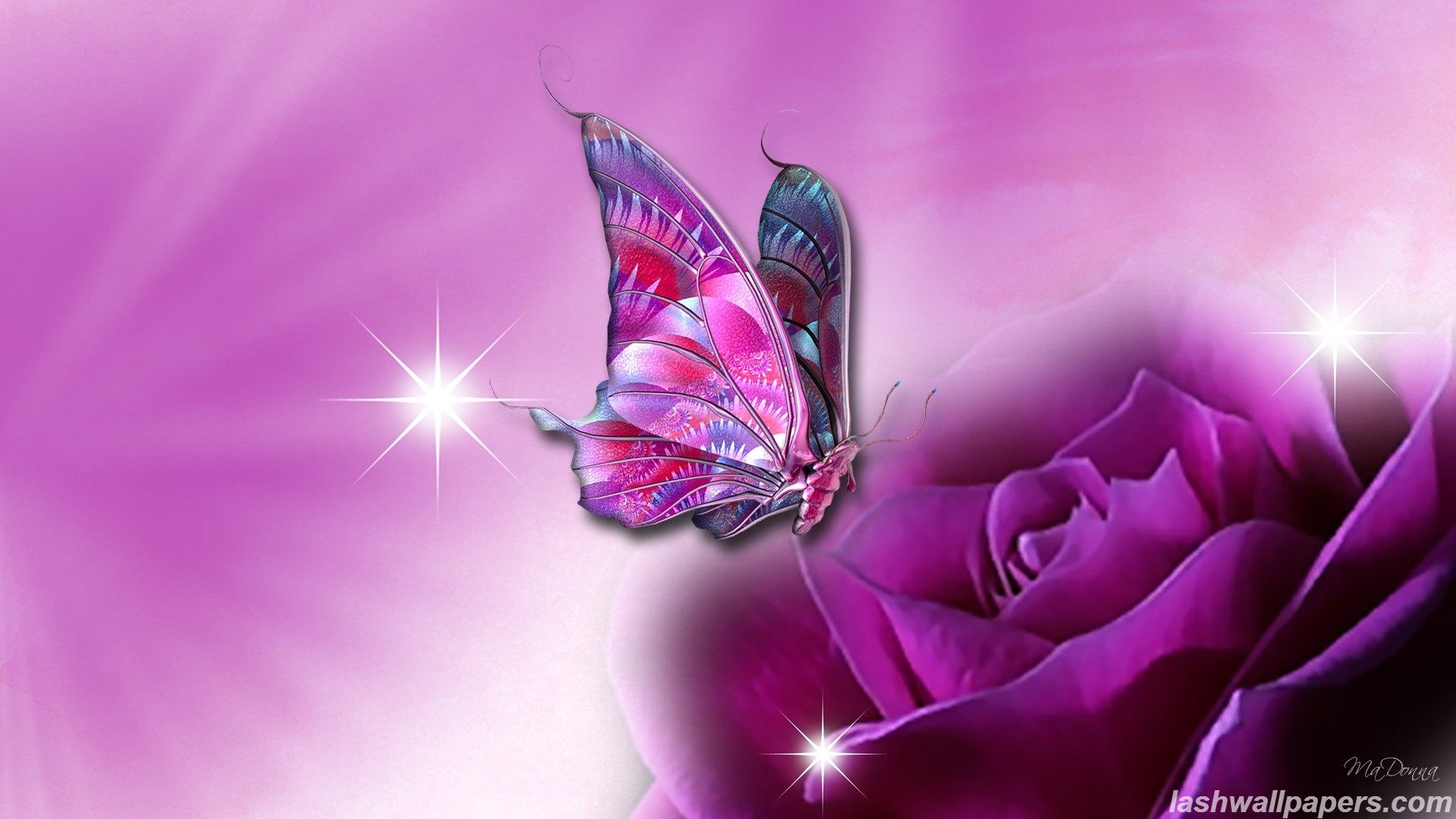 Butterfly Wallpaper Free Download - HD Wallpapers Pretty