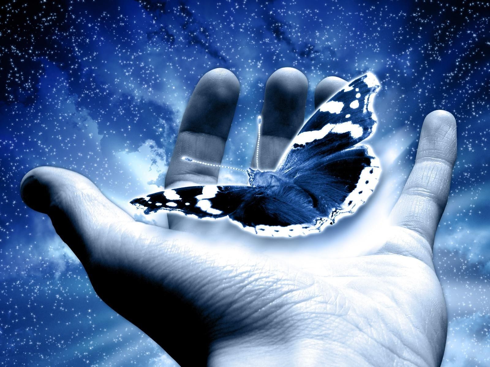 Download holding-a-butterfly-wallpaper.jpg6 Free By udhao.net