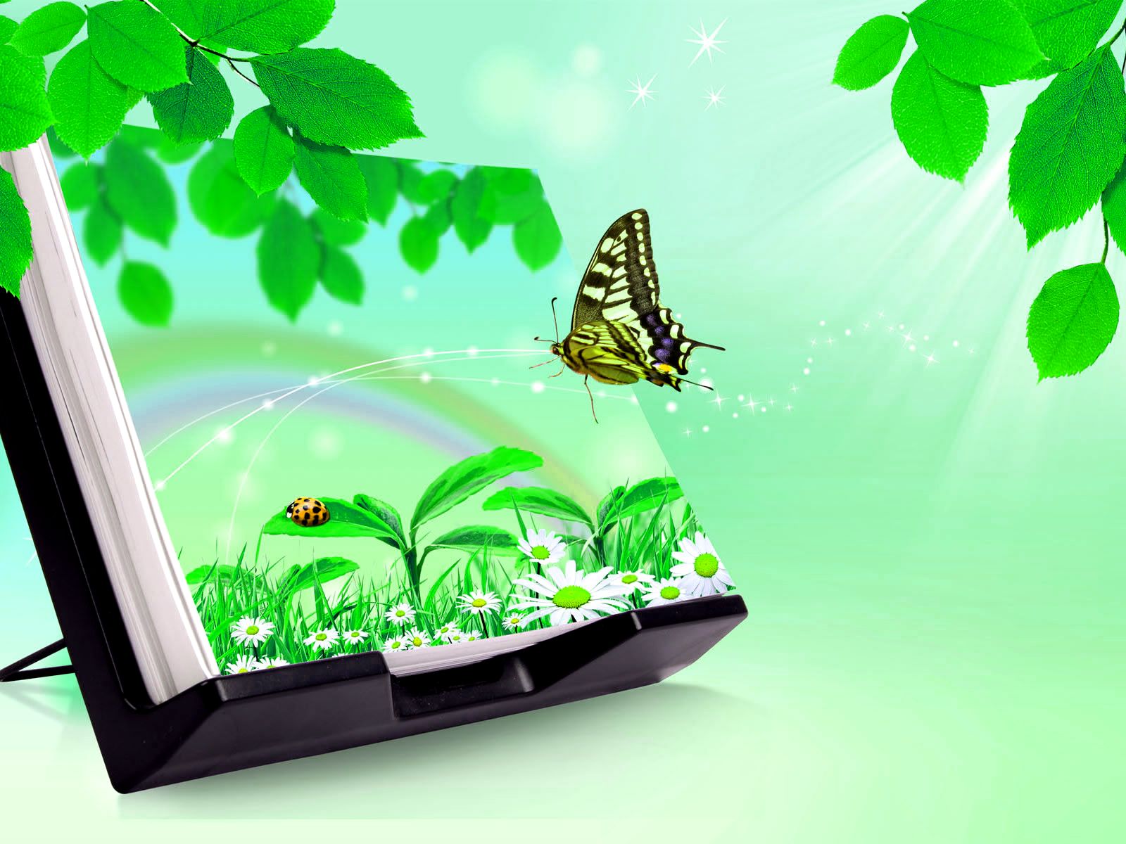 3D Wallpapers HD nature 3d butterfly wallpapers free download for ...
