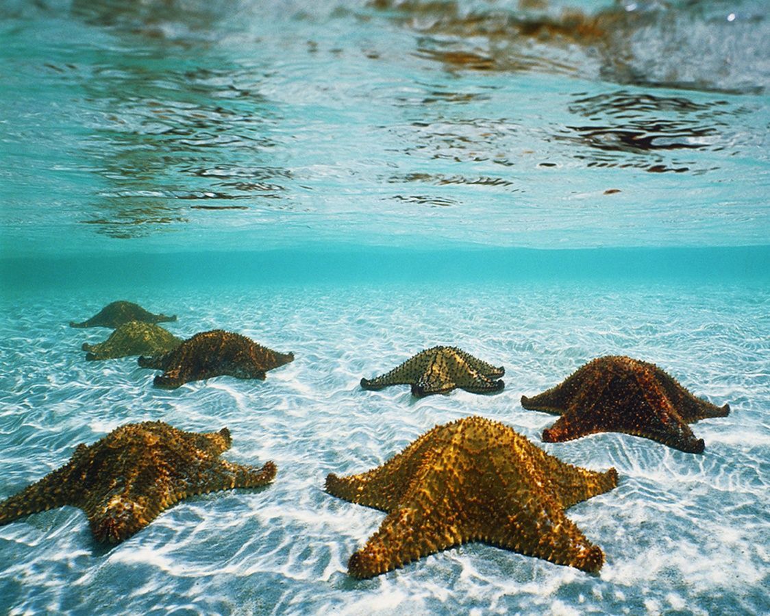 Cool Wallpapers 3d Animated Wallpapers For Mac