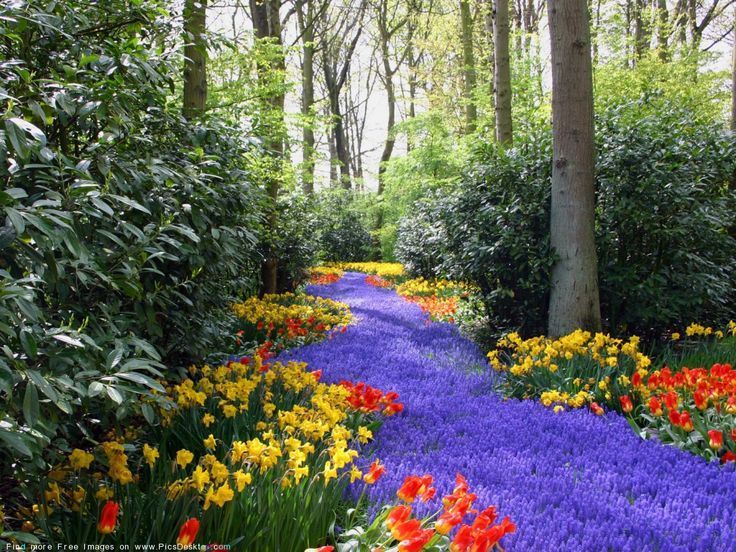 Bing Free Spring Wallpaper | Nature Springtime Free Desktop ...