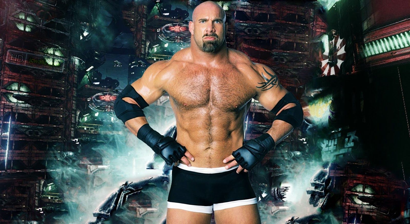 Goldberg Hd Wallpapers Free Download | WWE HD WALLPAPER FREE DOWNLOAD