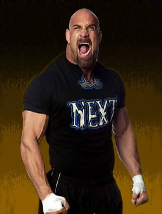 Goldberg Hd Free Wallpapers WWE HD WALLPAPER FREE DOWNLOAD