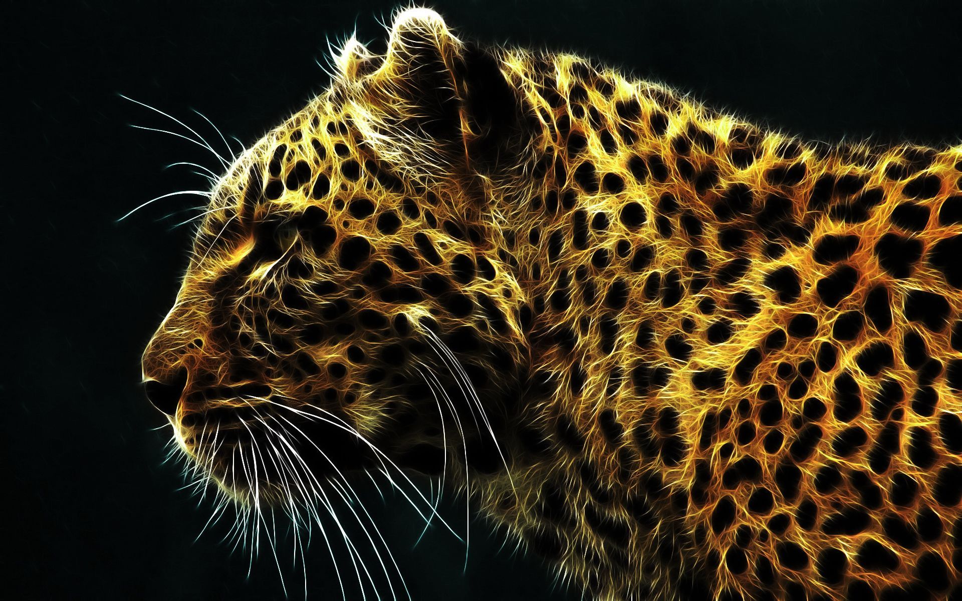 36755 Animal HD Wallpapers | Backgrounds - Wallpaper Abyss
