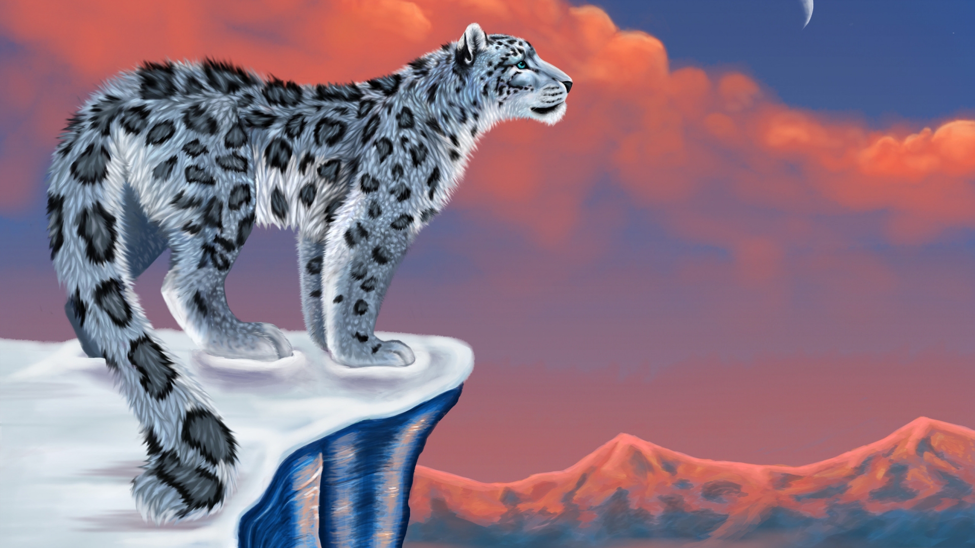 Animated Animal Hd Wallpapers | Free HD Desktop Wallpapers ...