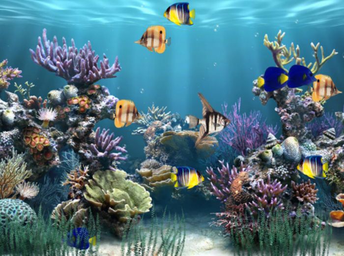Aquarium Animated Wallpaper - Download