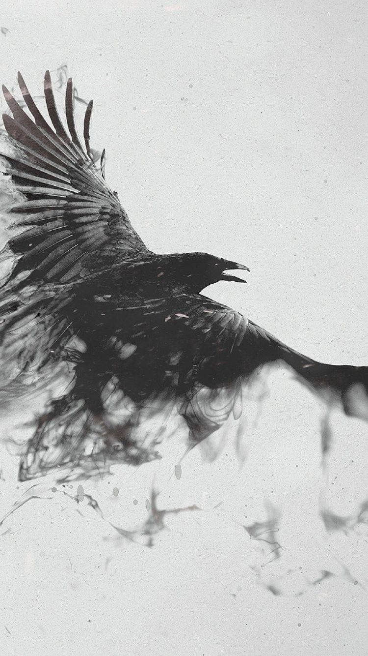 Download Wallpaper 750x1334 Raven, Bird, Flying, Smoke, Black ...