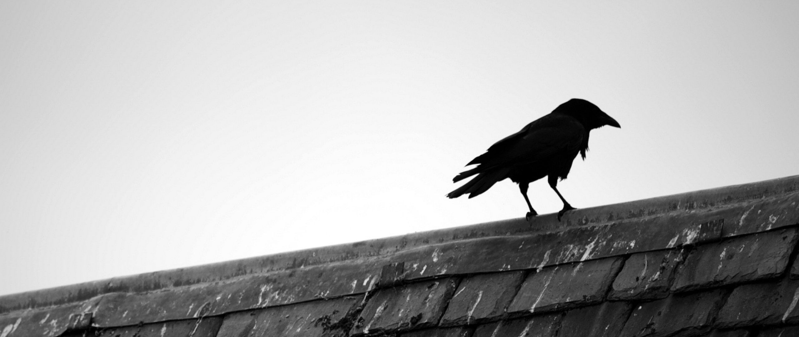 Download Wallpaper 2560x1080 Raven, Bird, Roof, Sky, Black white