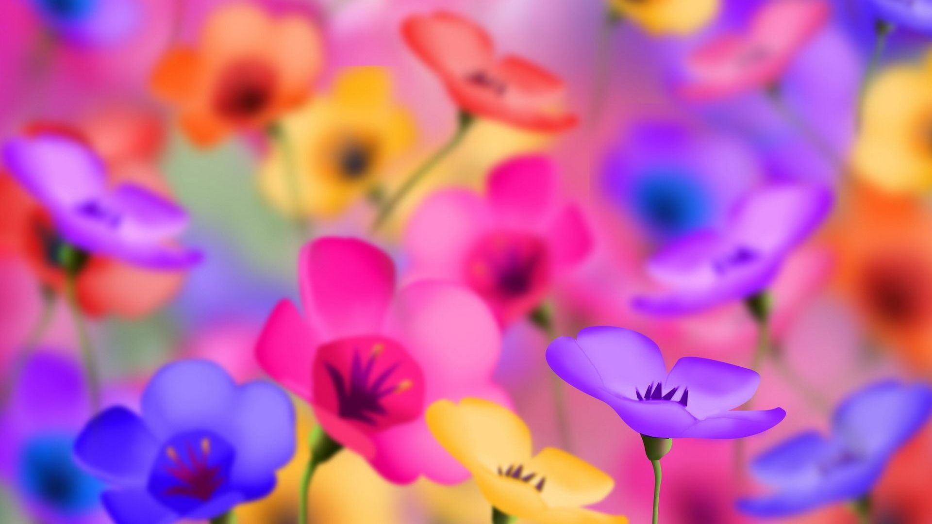Full HD 1080p Flowers Wallpapers, Desktop Backgrounds HD Downloads