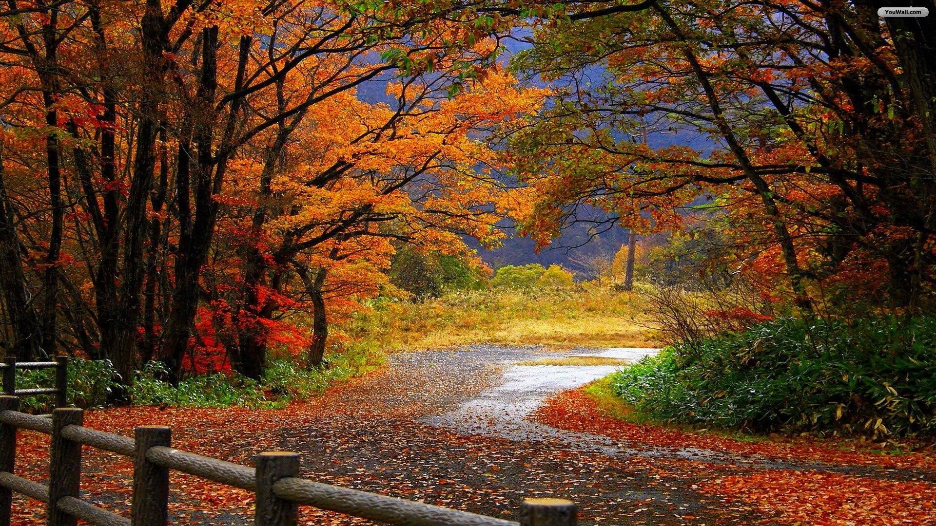 Fall Scenery Wallpapers - Wallpaper Cave