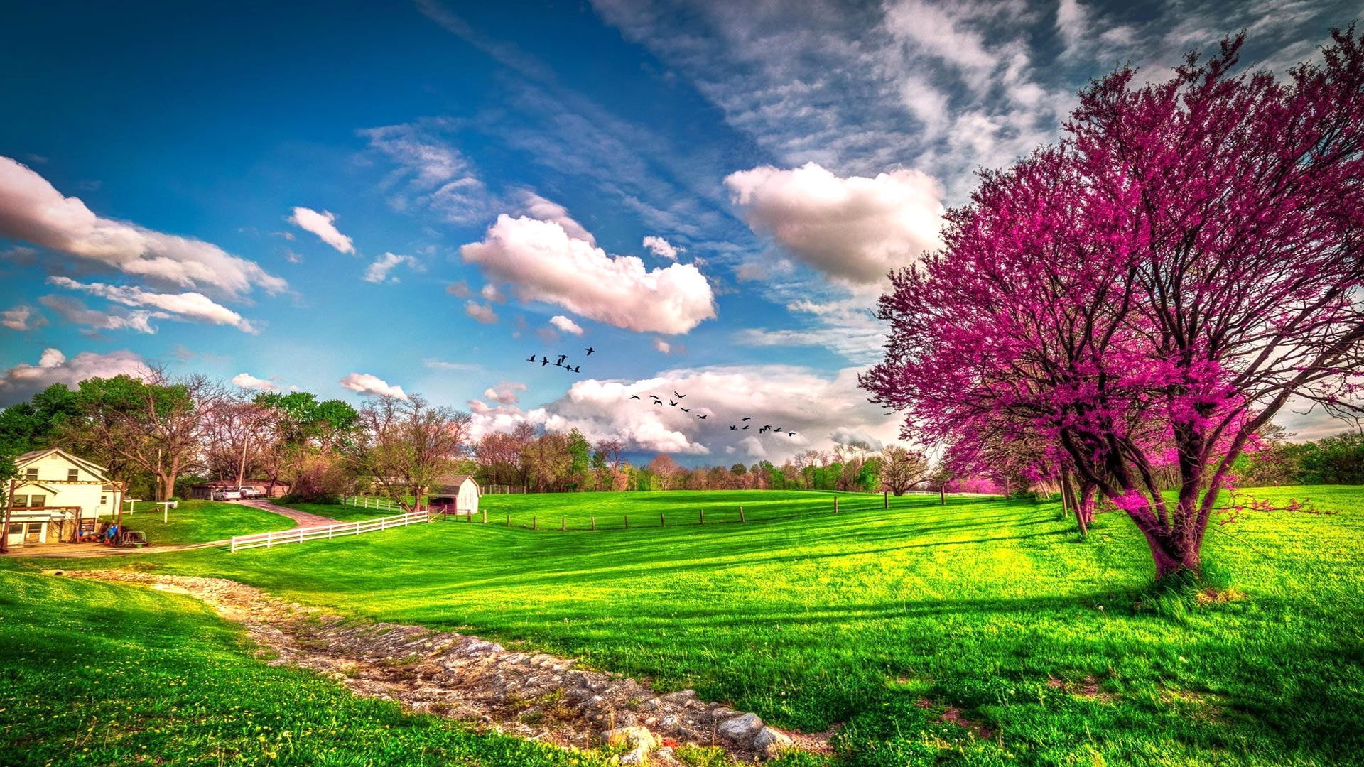 beautiful-spring-scenery-wallpapers-hd-1080p-1920x1080-desktop-03.jpg