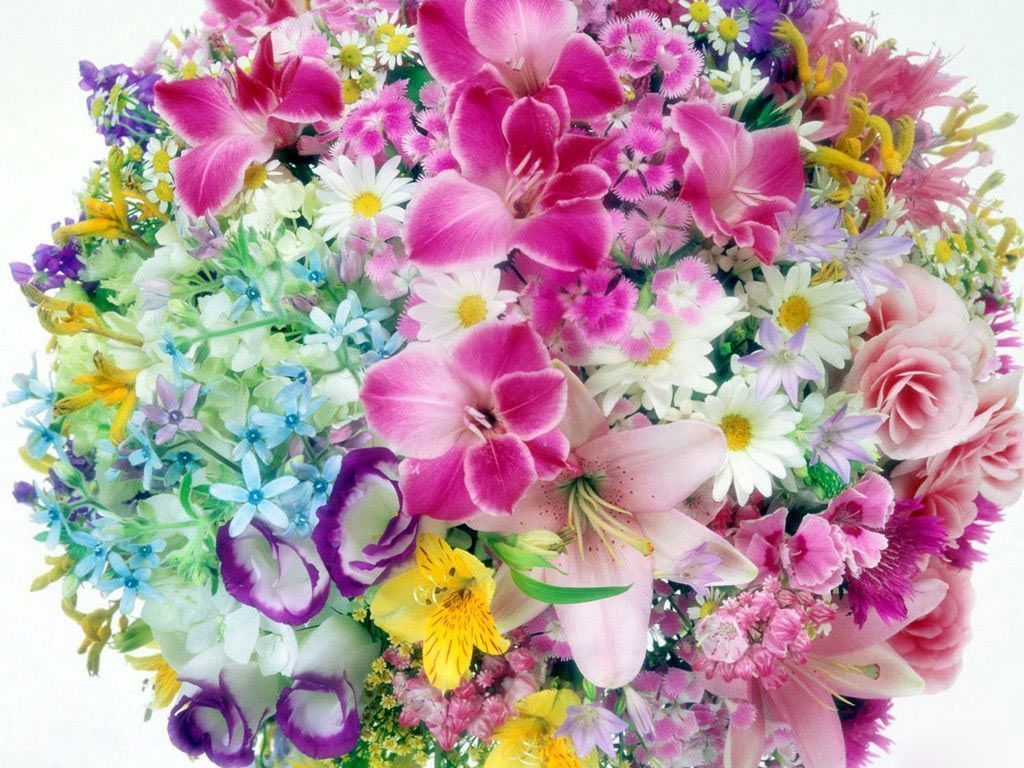 Colorful Flowers Wallpapers - HD Images New