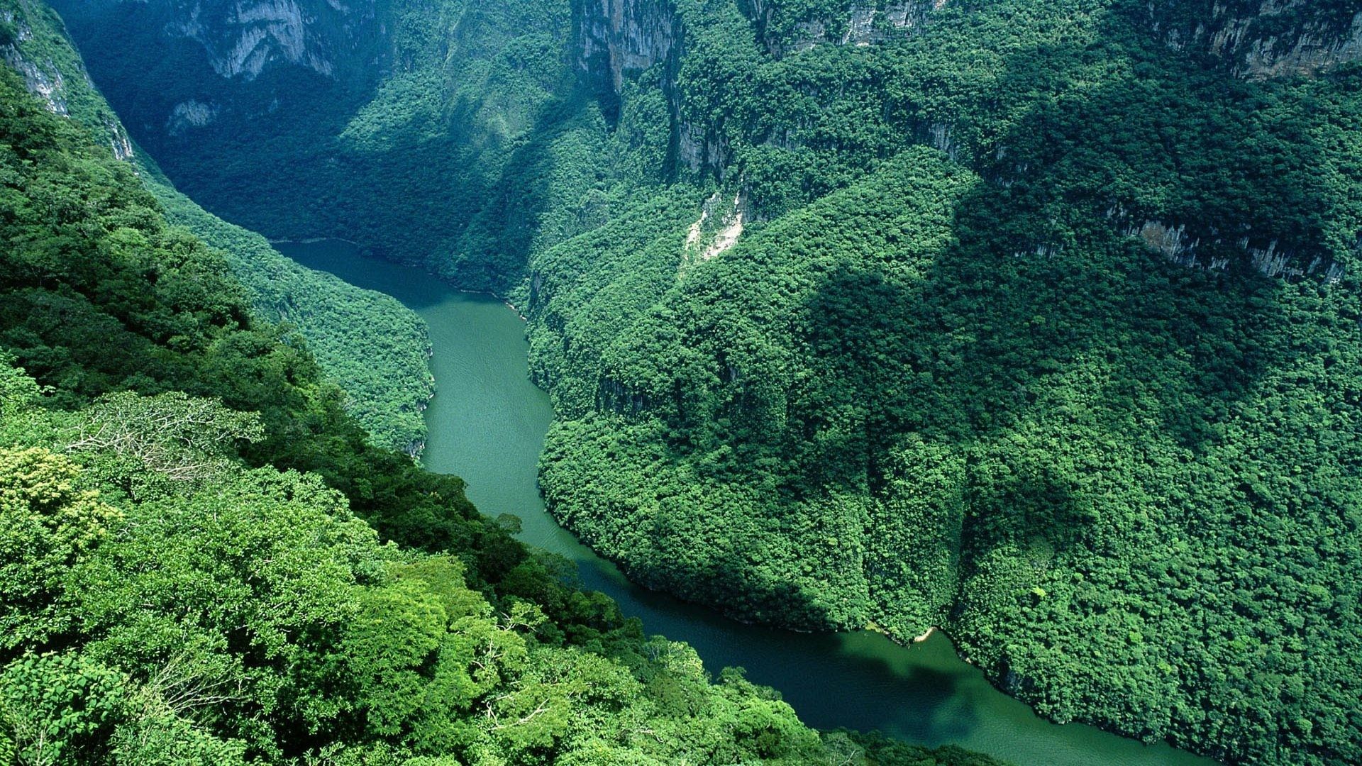 Best Click of Amazon River in South America | HD Famous Wallpapers