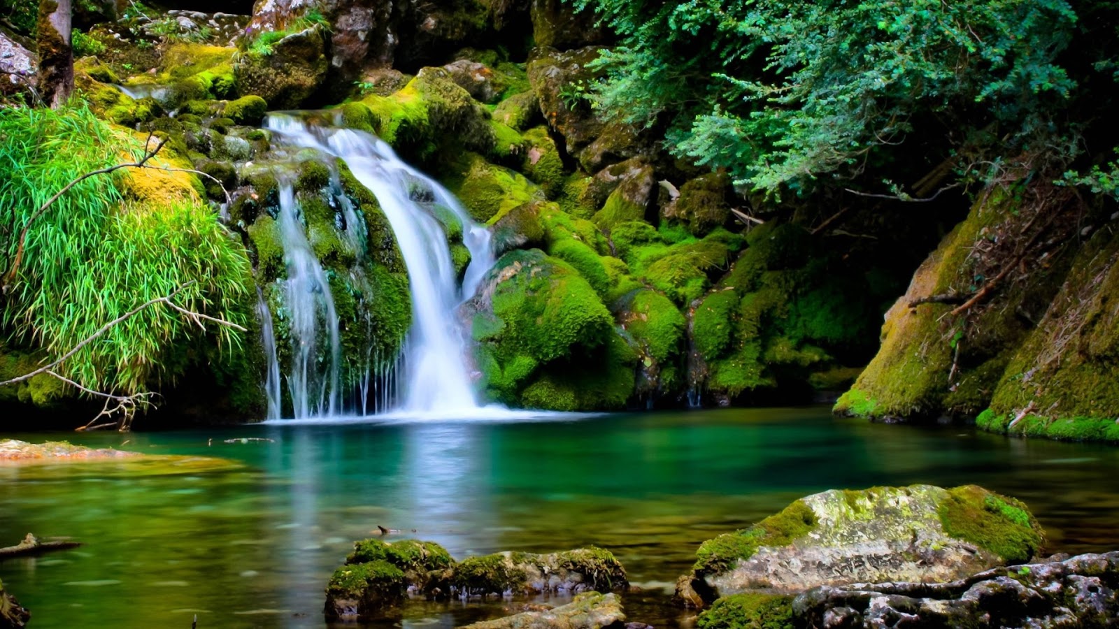 Nature wallpapers hd free download -