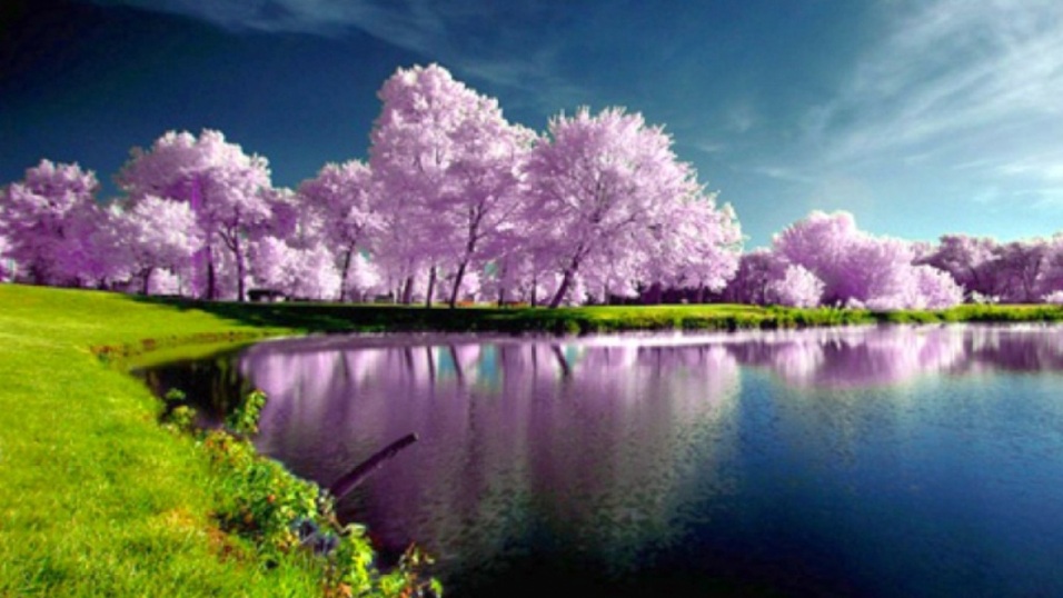 Beautiful HD Nature Wallpapers For Desktop | RoyalWallpaper.Biz ...