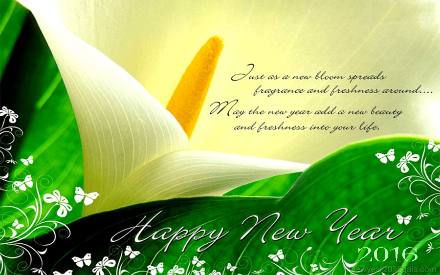 2016 New Year Wallpaper Free Download New Year 2016 Wallpapers For