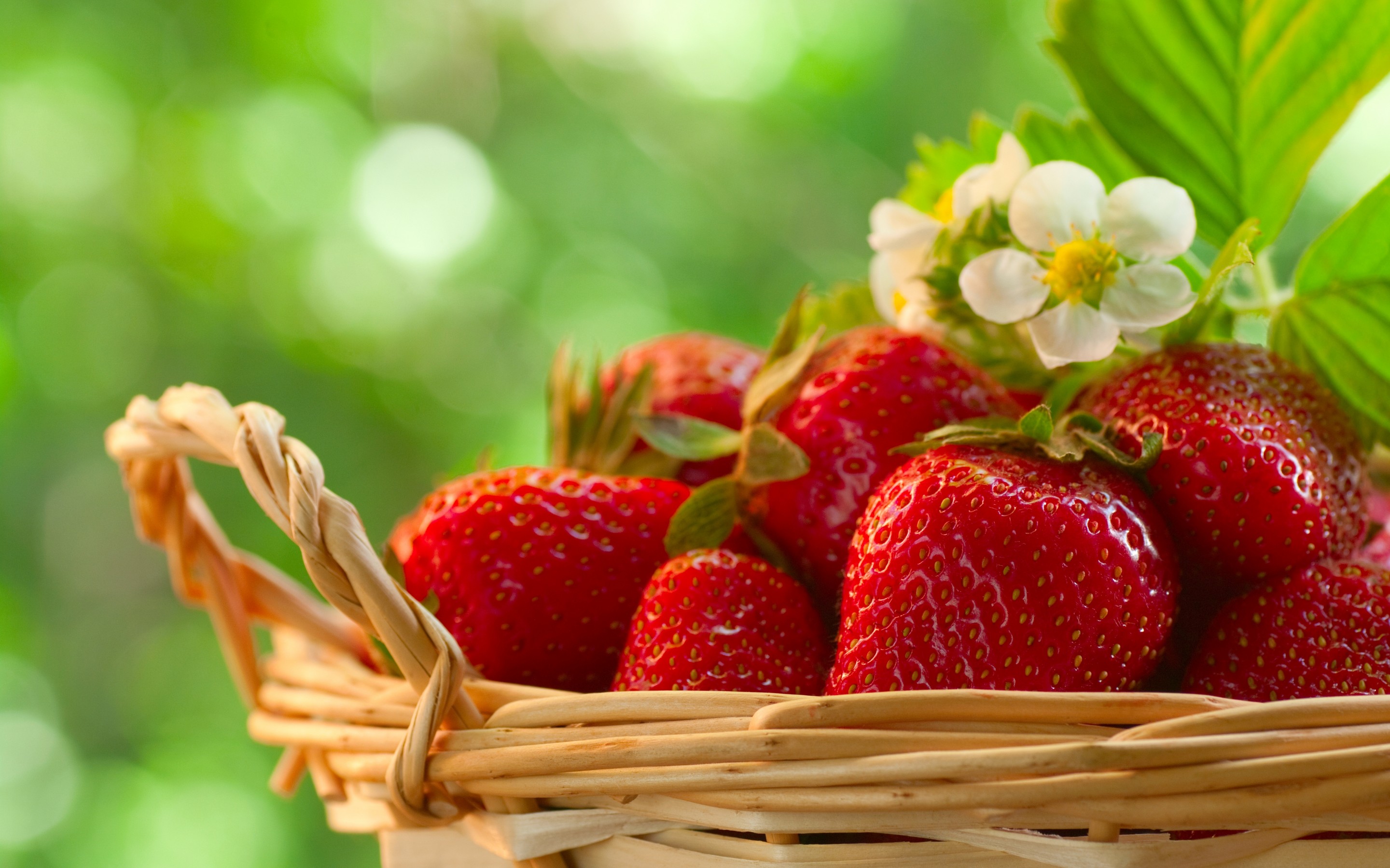 Strawberry Wallpaper HD | Full HD Pictures