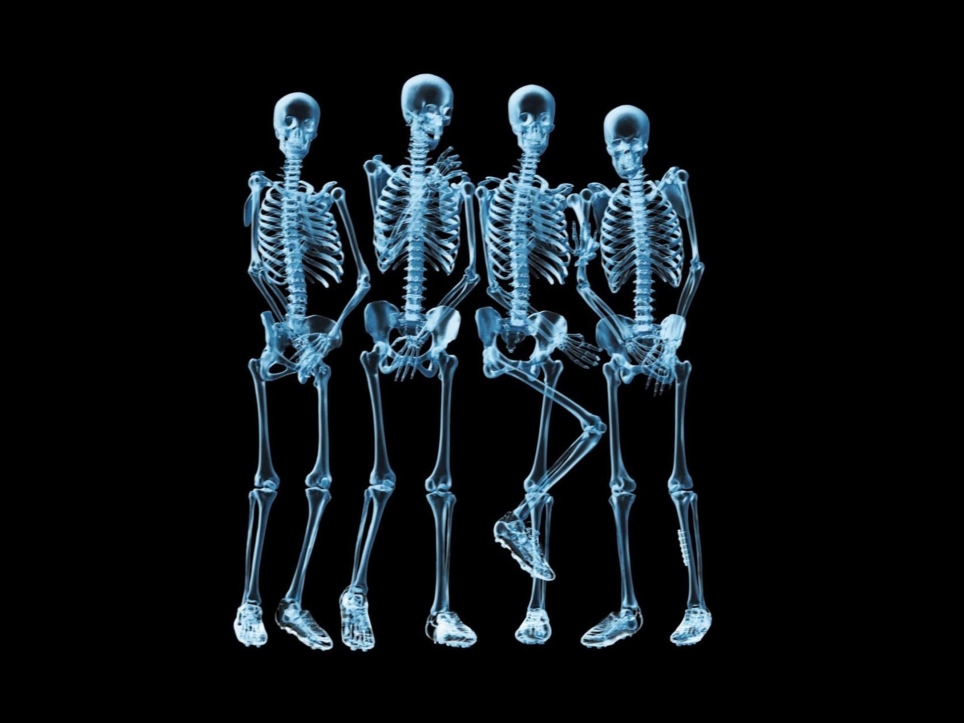 Xray funny skeletons wallpaper | AllWallpaper.in #2055 | PC | en