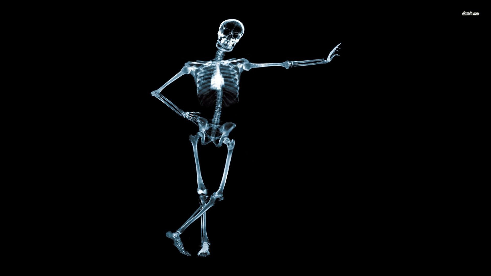 X-Ray Wallpaper » WallDevil - Best free HD desktop and mobile ...