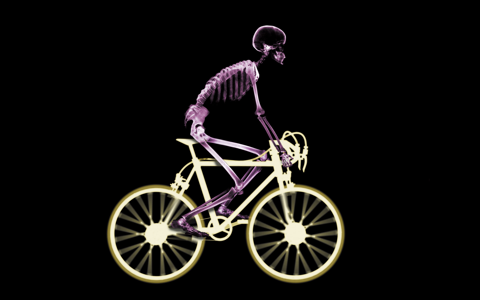 Bicycle Xray - Wallpaper